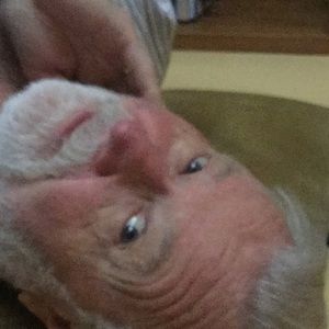 Meet your Posher, Hazel